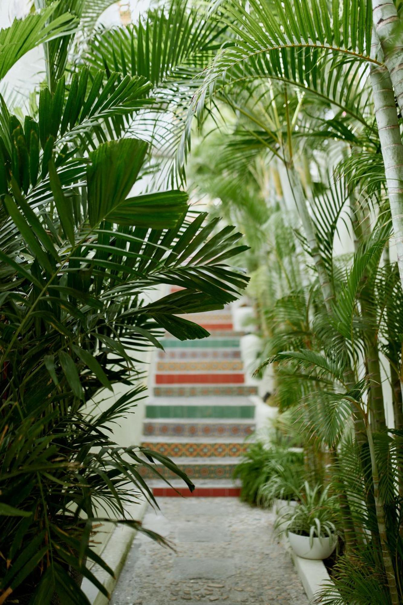 Hotel Ysuri Bucerías Extérieur photo